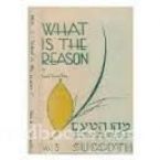 What Is The Reason Volume 3 Succoth